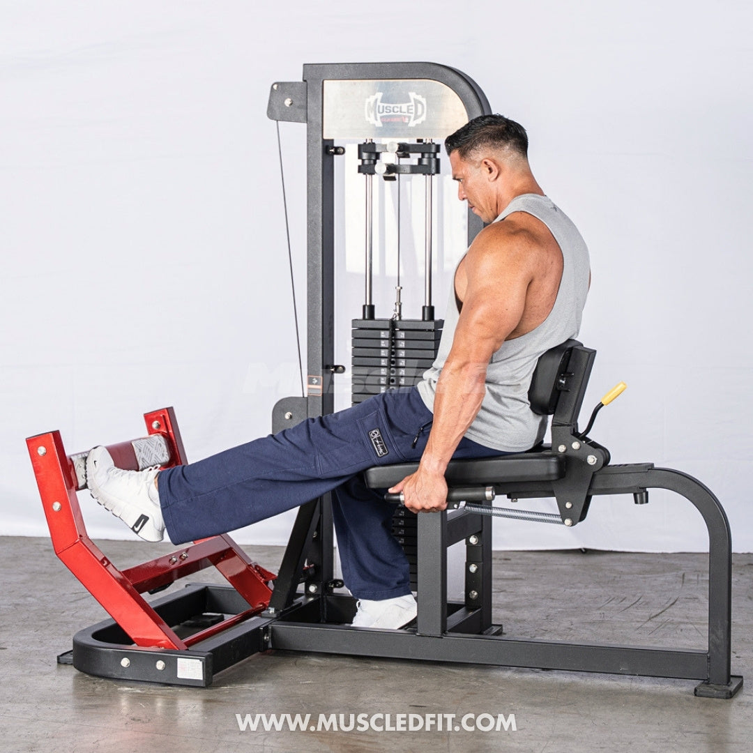 Muscle D Fitness Classic V2 Selectorized Seated Calf Machine