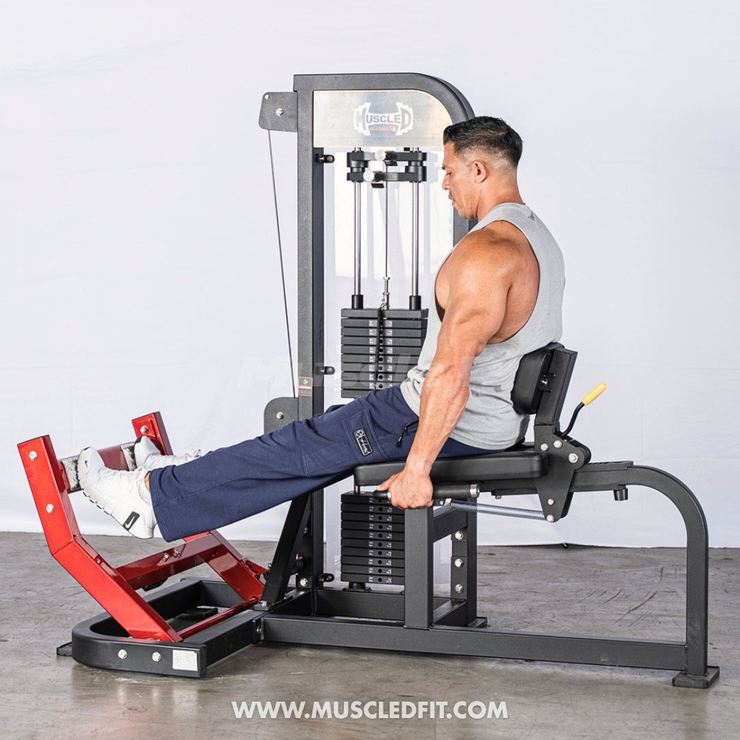 Muscle D Fitness Classic V2 Selectorized Seated Calf Machine