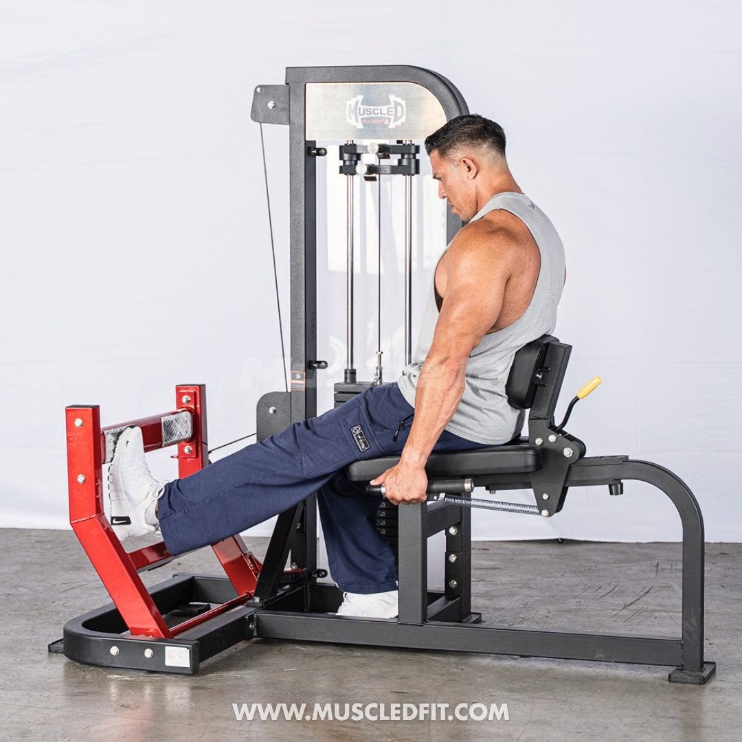 Muscle D Fitness Classic V2 Selectorized Seated Calf Machine