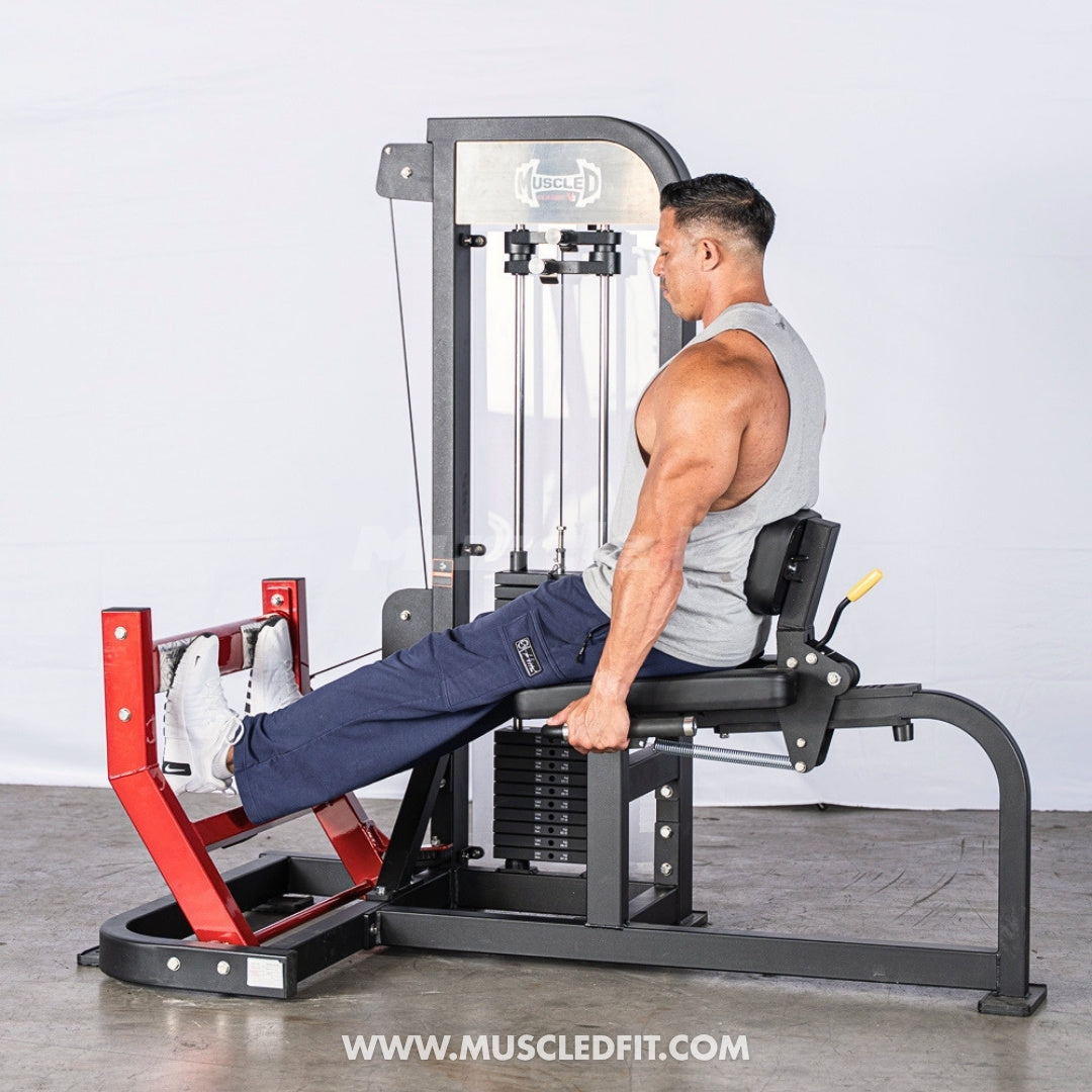 Muscle D Fitness Classic V2 Selectorized Seated Calf Machine