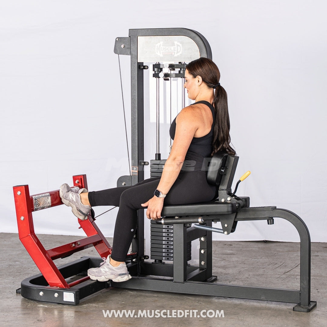 Muscle D Fitness Classic V2 Selectorized Seated Calf Machine