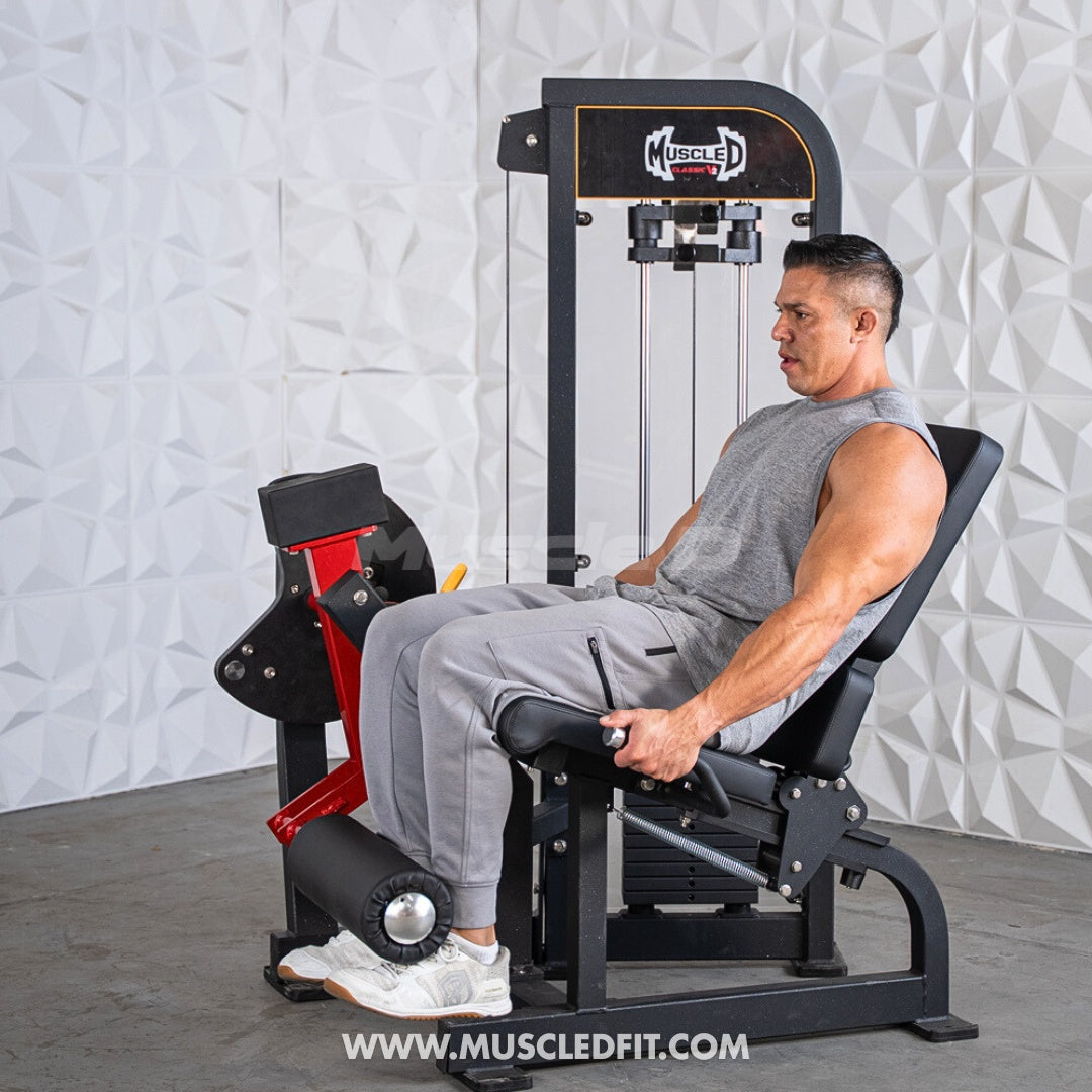 Classic V2 Selectorized Leg Extension Machine – Muscle D Fitness