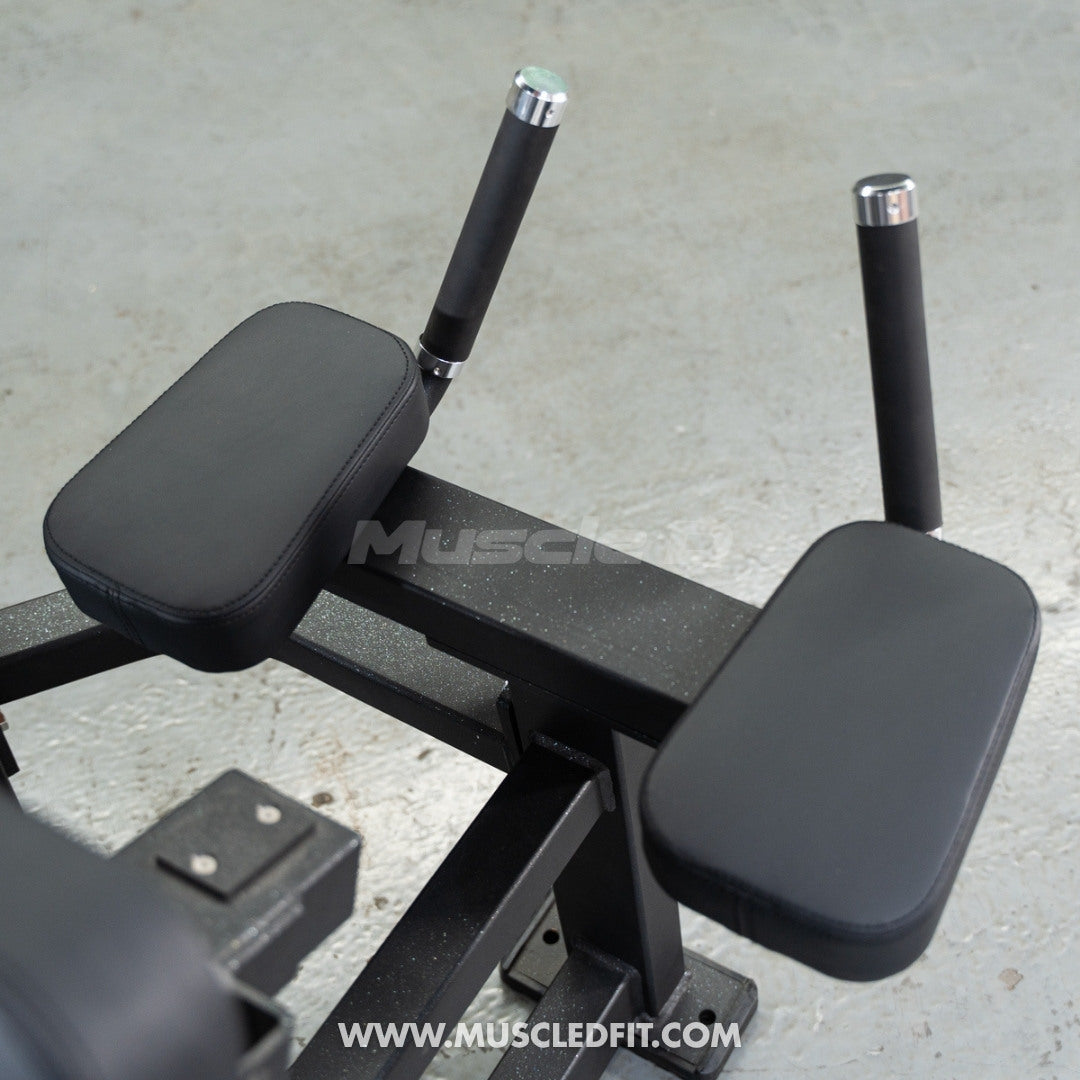 Classic V2 Leg Extension / Prone Leg Curl Combo – Muscle D Fitness