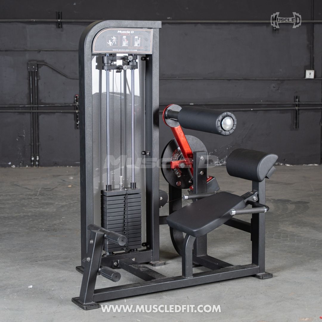 Classic V2 Back / Ab Combo by Muscle D Fitness - Dual Function Core Machine