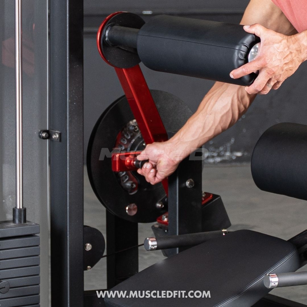 Classic V2 Back / Ab Combo by Muscle D Fitness - Dual Function Core Machine