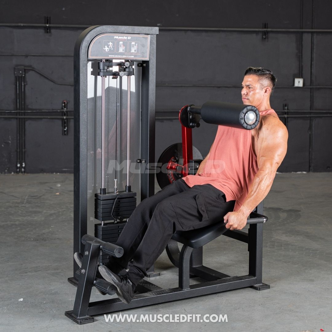 Classic V2 Back / Ab Combo by Muscle D Fitness - Dual Function Core Machine