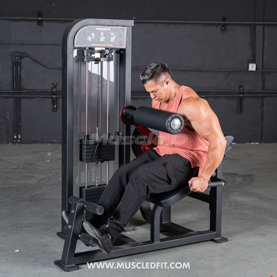 Classic V2 Back / Ab Combo by Muscle D Fitness - Dual Function Core Machine