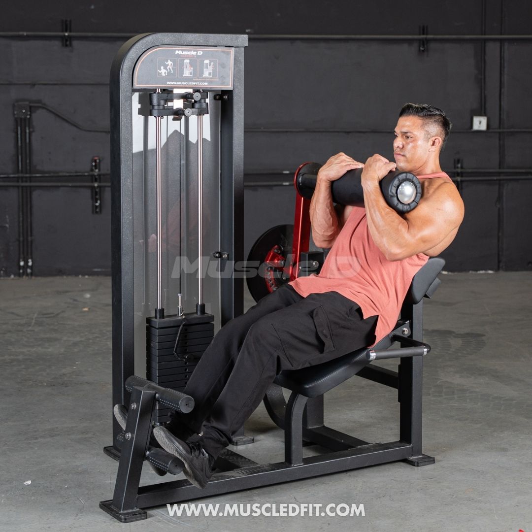 Classic V2 Back / Ab Combo by Muscle D Fitness - Dual Function Core Machine