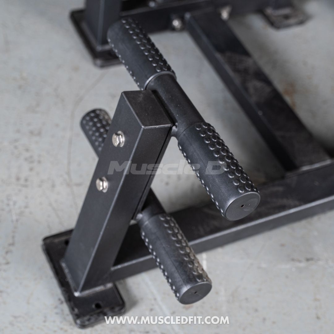 Classic V2 Back / Ab Combo by Muscle D Fitness - Dual Function Core Machine