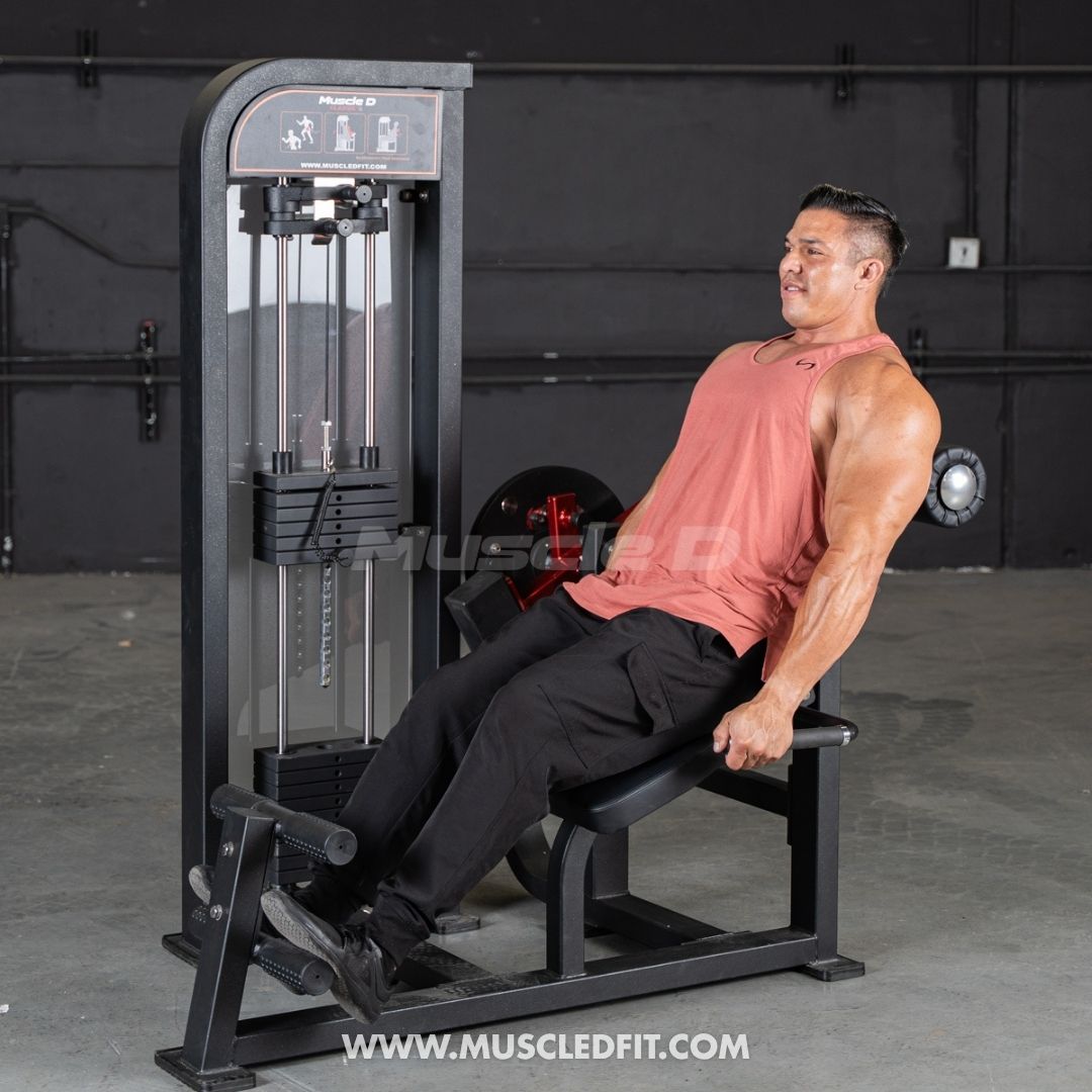 Classic V2 Back / Ab Combo by Muscle D Fitness - Dual Function Core Machine