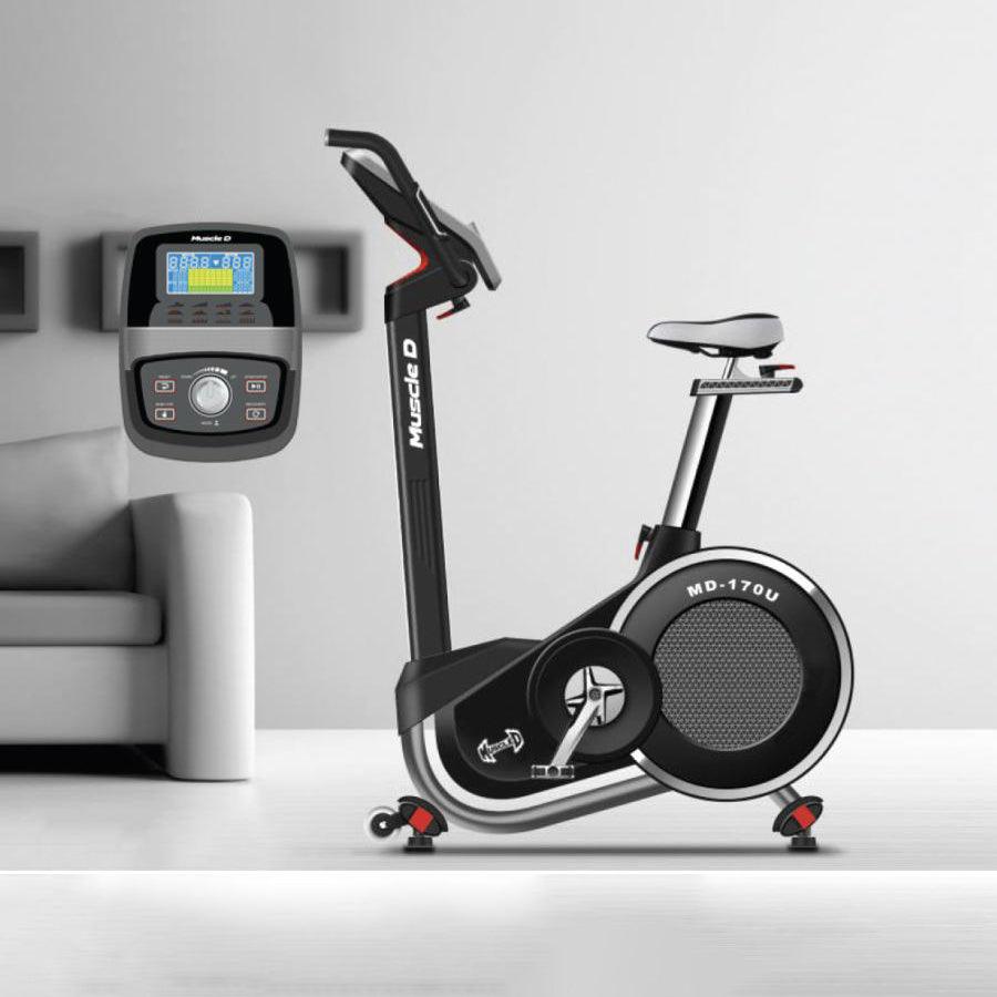 Light Commercial Upright Bike