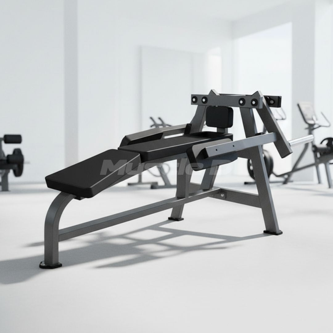 Excel Iso-Lateral Rear Delt Machine - Plate Loaded - Muscle D Fitness