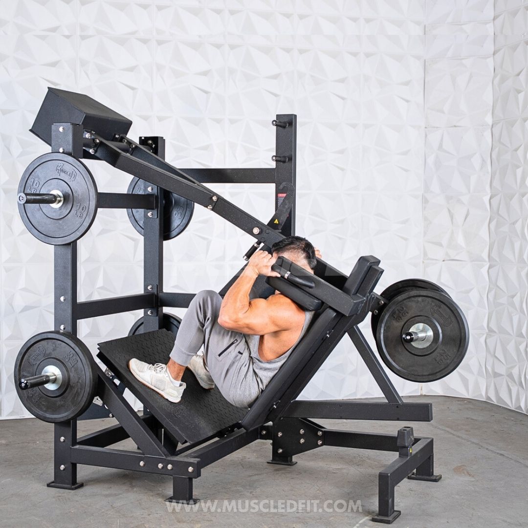 Excel Counterbalanced Pendulum Squat Machine | Muscle D Fitness