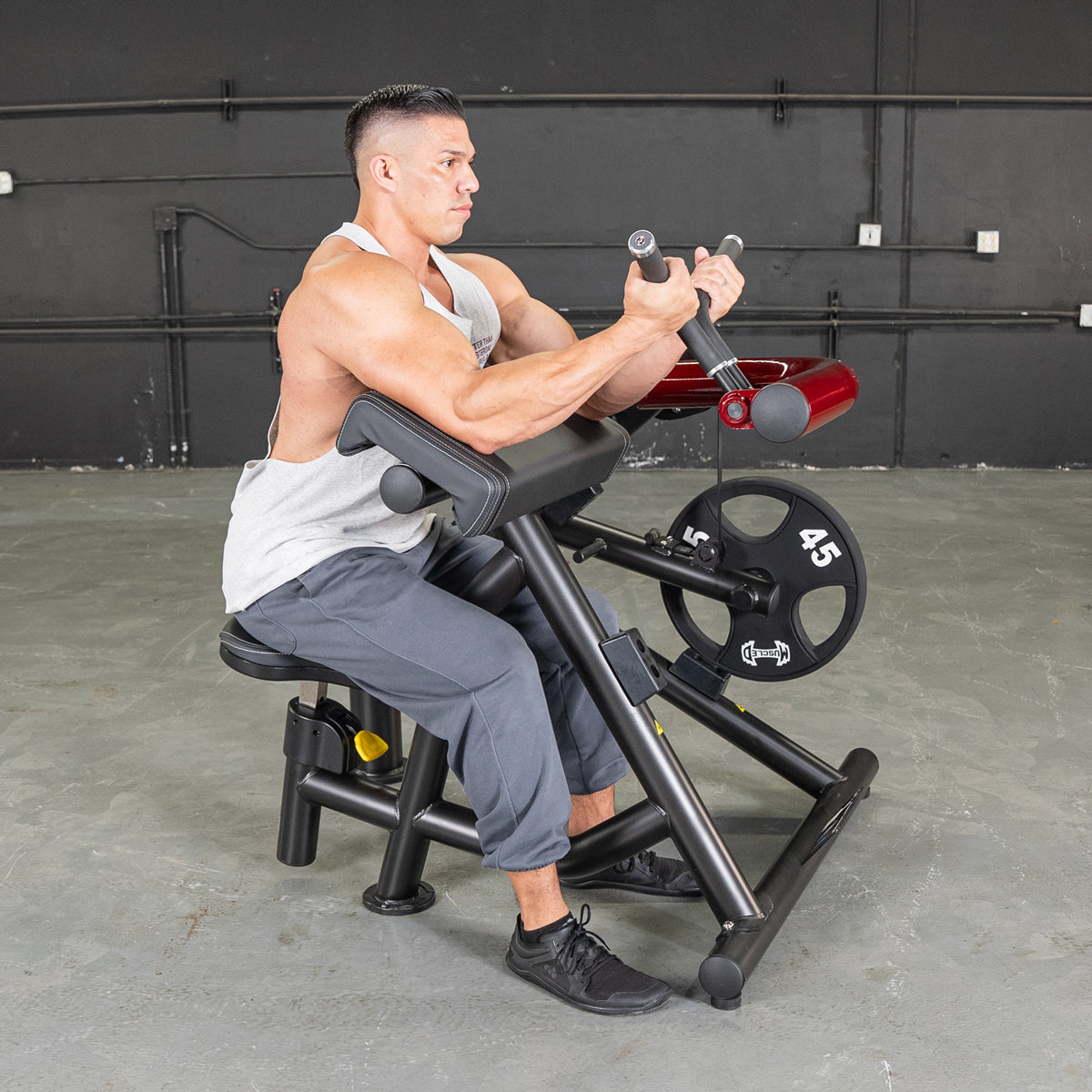 Power Leverage V2 Biceps Curl / Preacher Curl - Muscle D Fitness