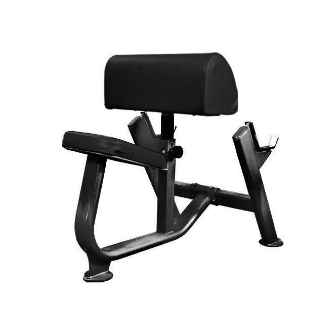 Preacher Curl Bench black