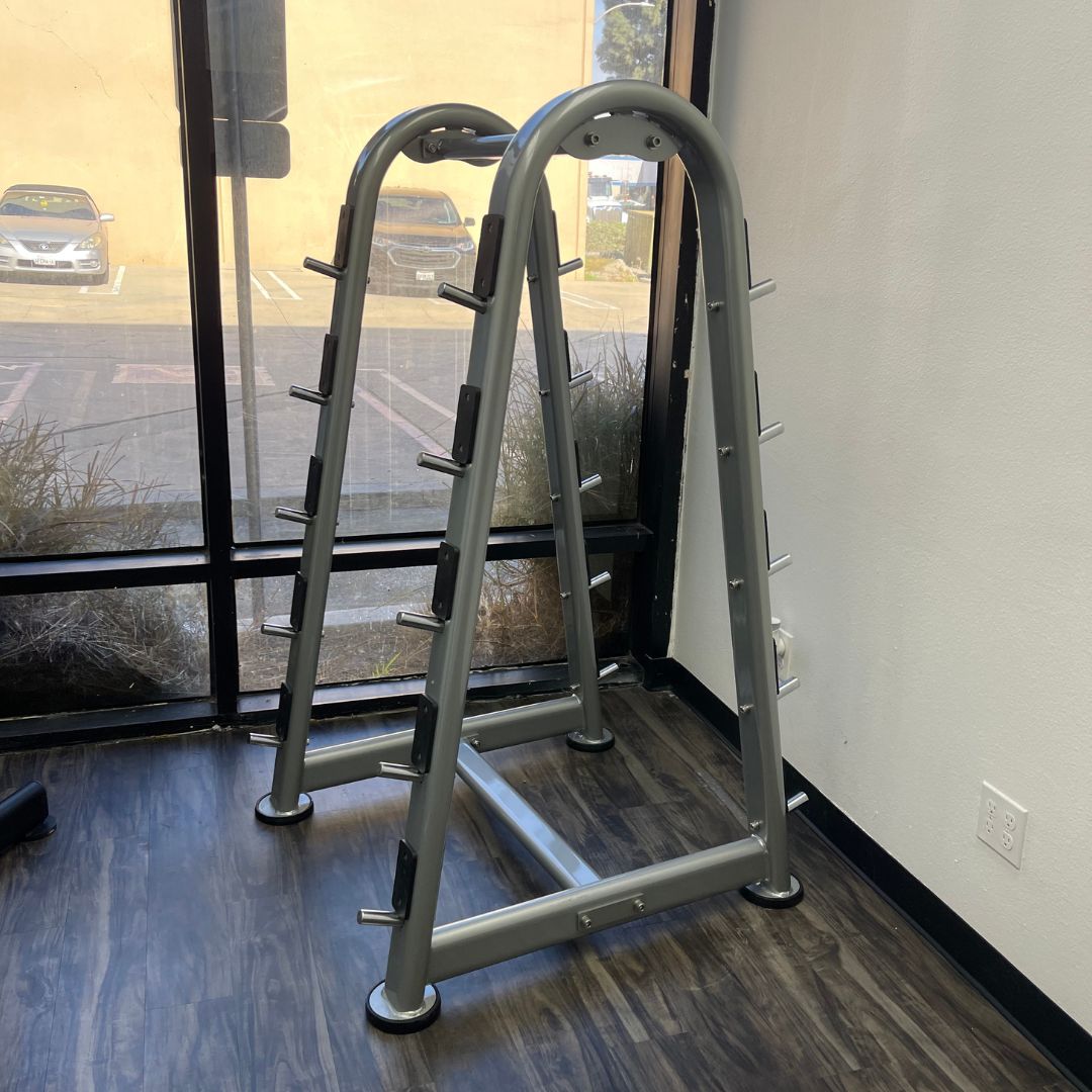 silver barbell rack that can hold ten barbells