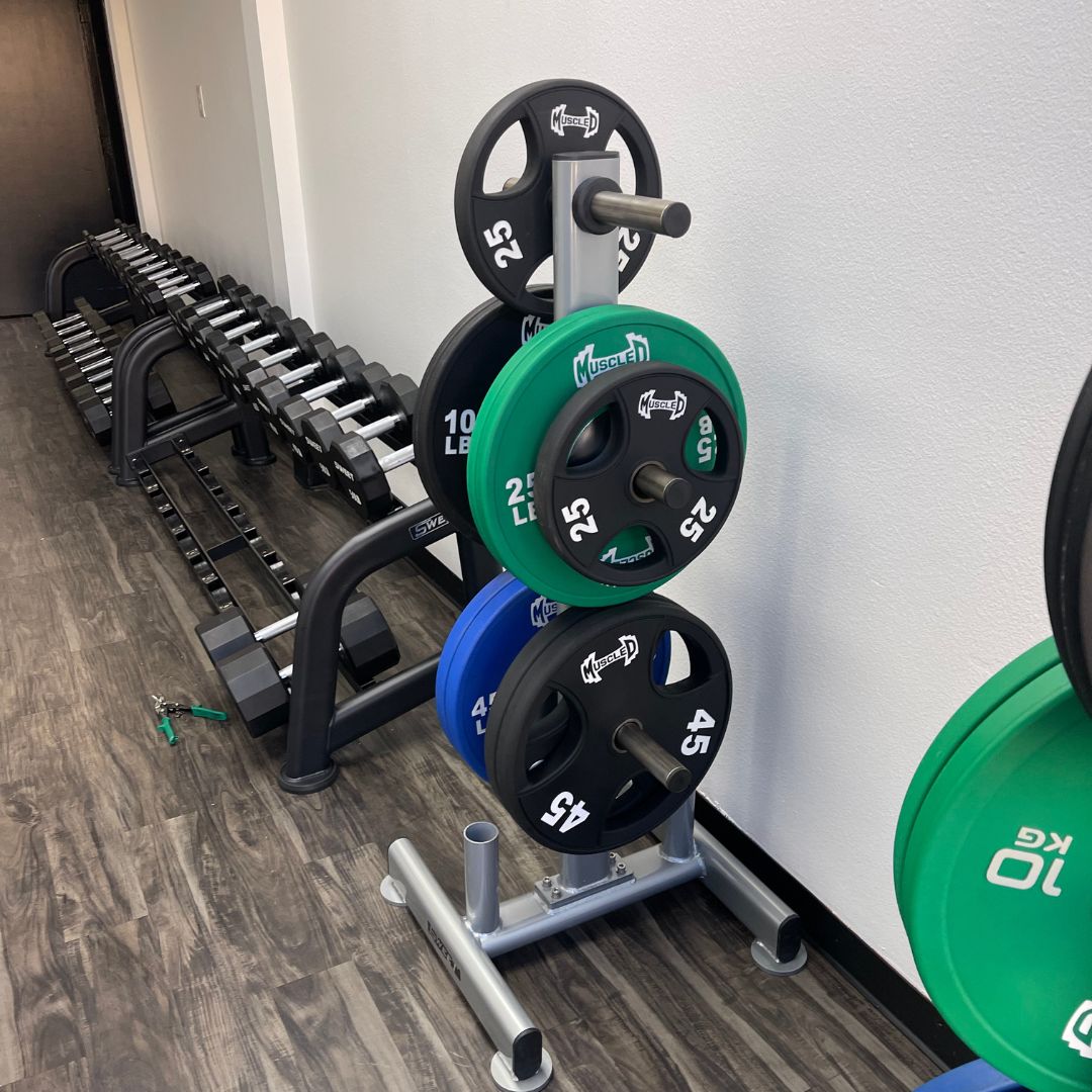 silver olympic plate tree with six weight horns and 2 barbell holder