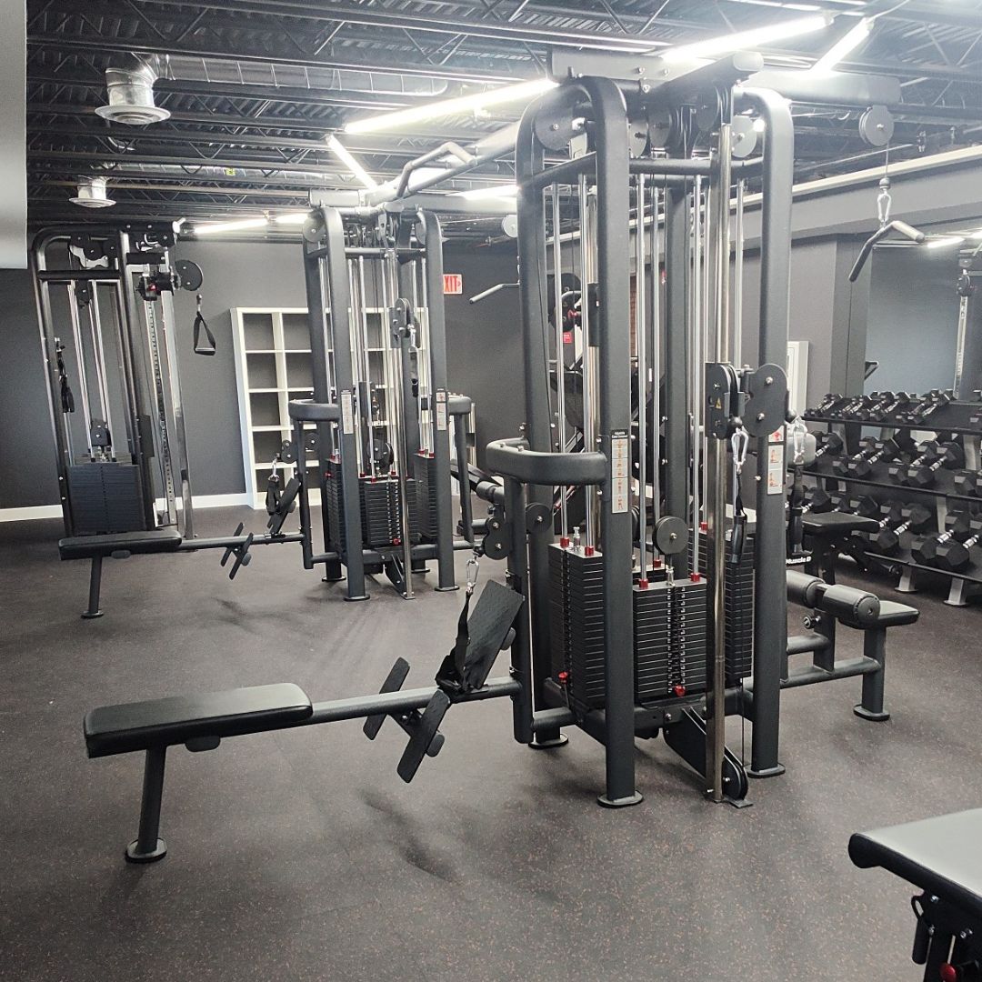 muscle d fitness commercial gym installation for customer